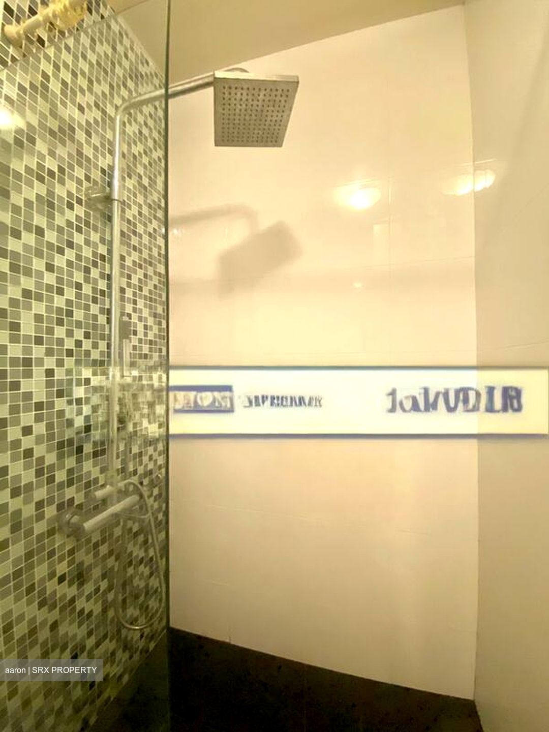 Opal Suites (D12), Apartment #502472061